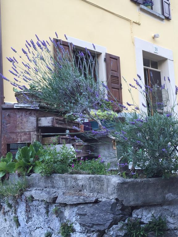 B&B Valle Spluga Il Pertugio Киавенна Экстерьер фото